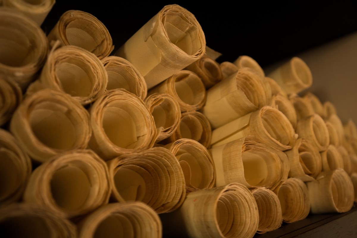 Antique Papyrus rolls