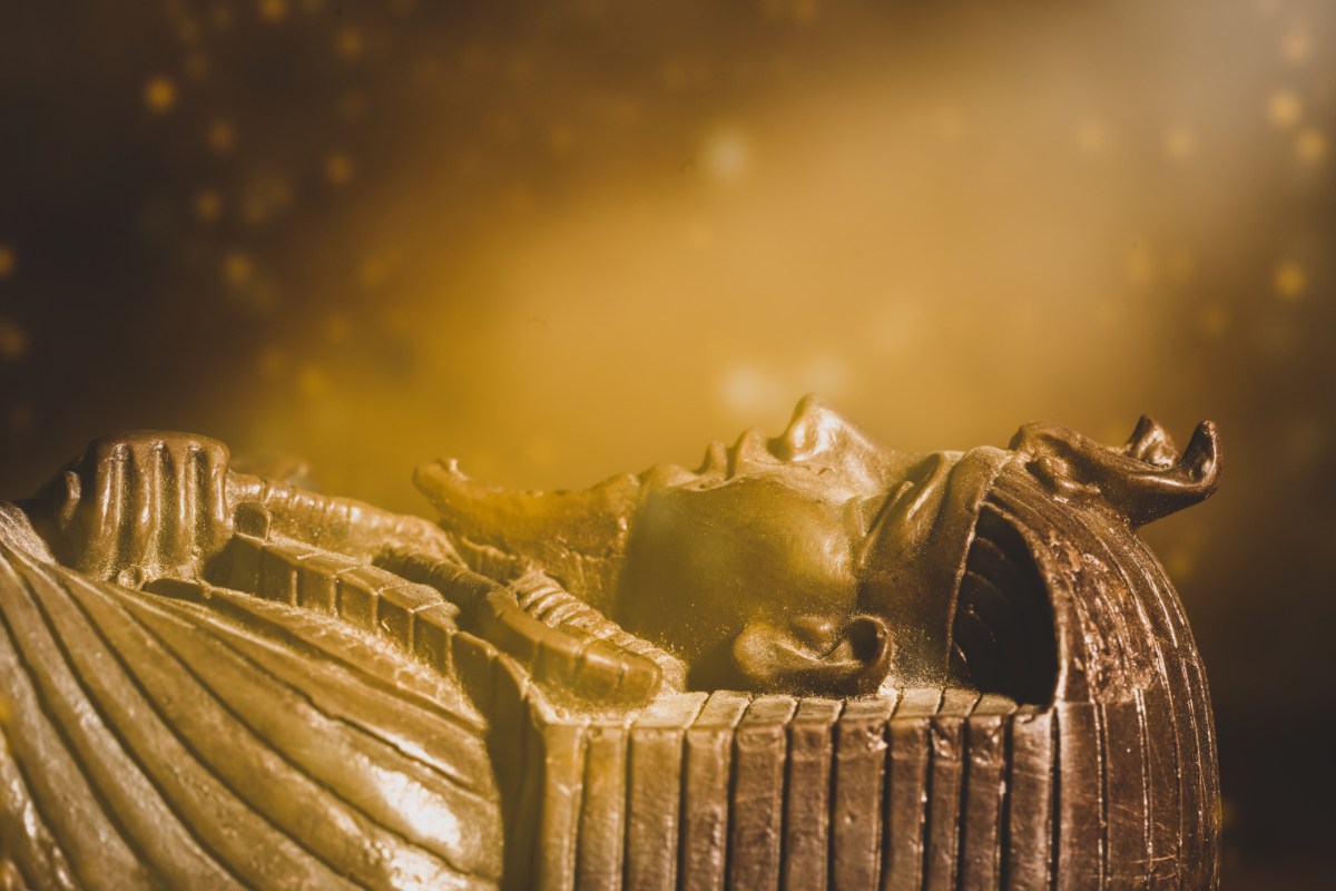 Going for Gold! Egyptian mummy wrapped in gold leaf found near Cairo ...